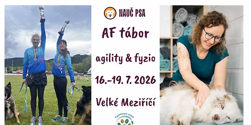 Komplexn\u00ed AF (AgilityFyzio) t\u00e1bor - Velk\u00e9 Mezi\u0159\u00ed\u010d\u00ed