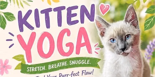 Stretch & Snuggle: HLH Kitten Yoga