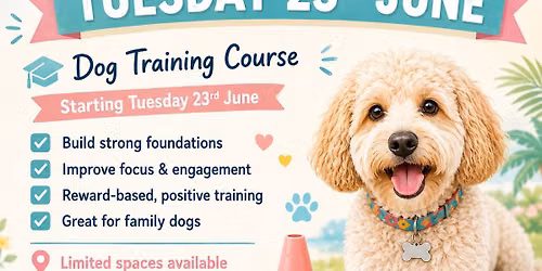 Next 6 Week Course AMCBT Cosham Branch
