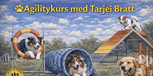 Agility kurs med Tarjei