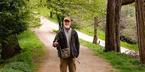 SoSAD Calendar Dogs 2026