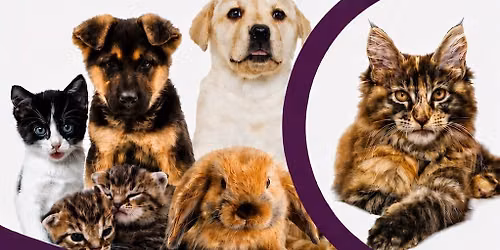 3rd Annual Pedal For Paws 