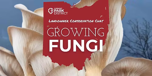 Landowner Conservation Chat: Growing Fungi