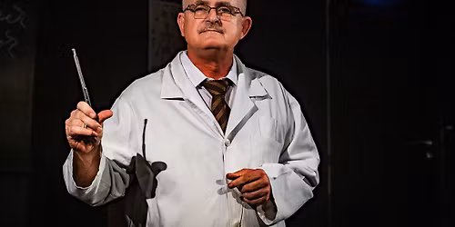 A professzor vallom\u00e1sa