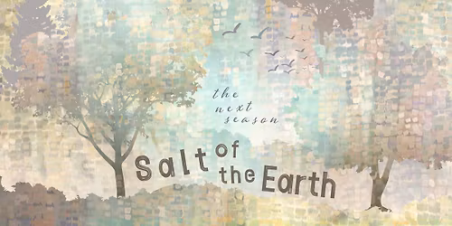 SOTE plays The Annex at The Frisco