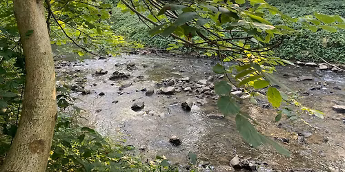 Mamy oko na Wilg\u0119