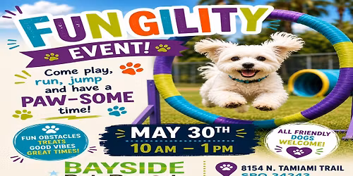 Fungility at Bayside Pet Resort!
