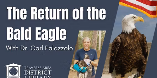 The Return of the Bald Eagle