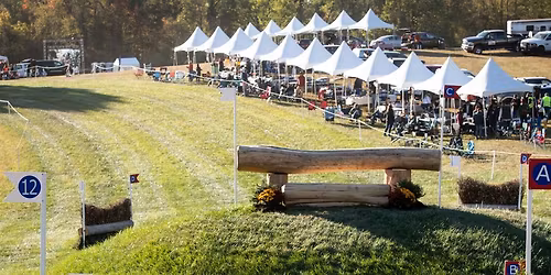 Parking Minus The Bear (16+)