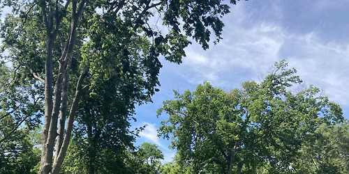 Tree Planting Volunteer Event at Christian Park