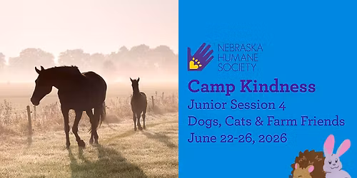 SOLD OUT - Camp Kindness Junior Session 4: Dogs, Cats & Farm Friends