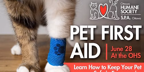 Pet First Aid Course