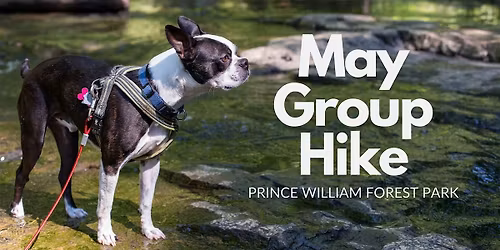 #TravelsWithOllie: MayGroup Hike