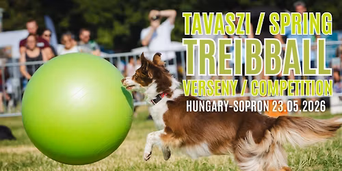 Tavaszi Treibball Verseny 2026