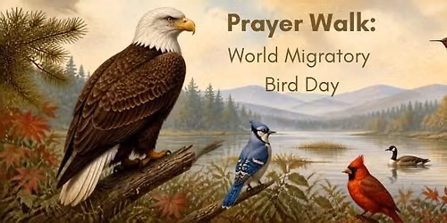 Prayer Walk: World Migratory Bird Day