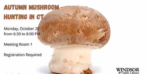 Autumn Mushroom Hunting in CT