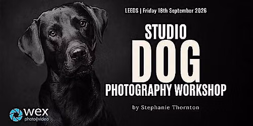 Wex Workshops: Studio Dog Photography with Stephanie Thornton | Leeds