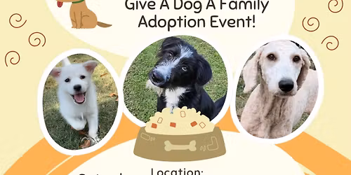 Adoption Event Raleigh