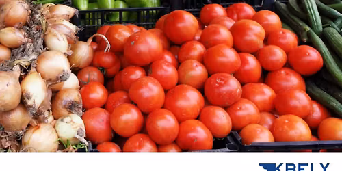 Farm\u00e1\u0159sk\u00e9 trhy Kbely \ud83c\udf45\ud83e\udd6c