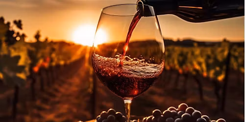 VINO! ROSSO! PRONTO! (The Red Wines of Italy)