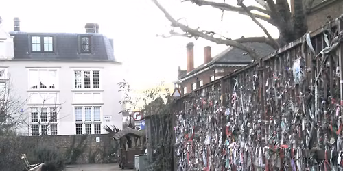 Connecting The Trees, a call to arms 