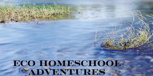 ECO Homeschool Adventures: Stream Science
