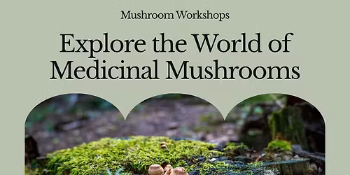 Medicinal Mushrooms Tincture workshop