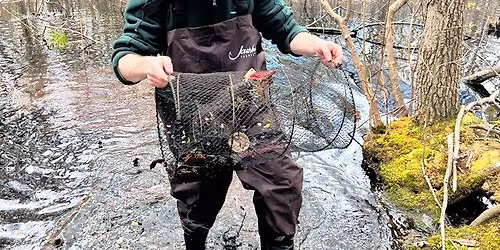 Research from the Field Series