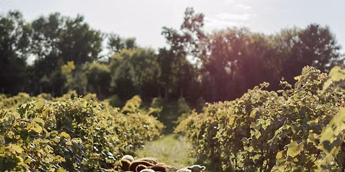 A Seat at Our Table: Featuring Heirloom Kitchen