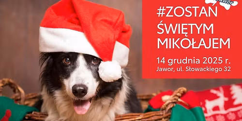 Miko\u0142ajki z bezdomnymi psiakami z przytuliska #tozJawor