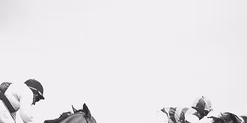 A Night At The Races