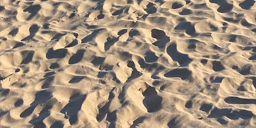 Labor Day Beach Shenanigans round 4!
