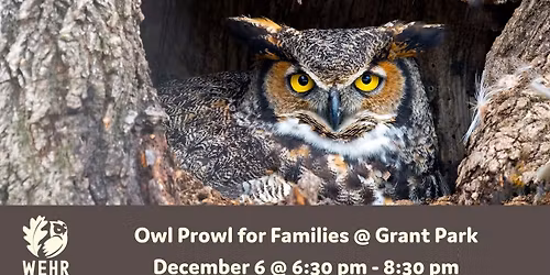 Owl Prowl for Families at Grant Park