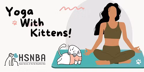 Yoga With Kittens!