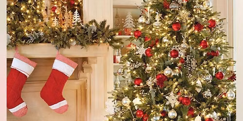 Festival of trees 2026
