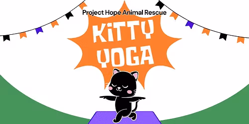 Kitty Yoga