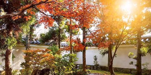 Preparing & Growing a Fall Garden
