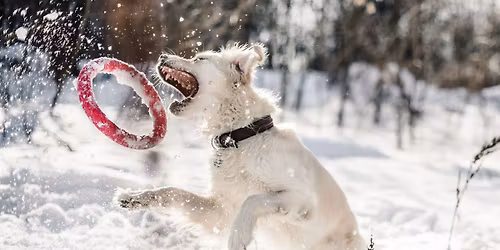 Funny Snow Walk-Spa\u00dfiger Winterspaziergang