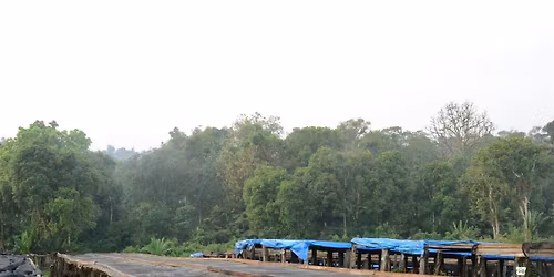 A History of Coffee: January 23, 2026