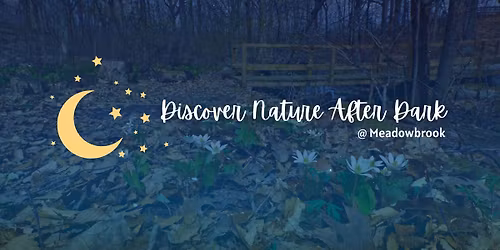 Night Hike: Discover Nature After Dark
