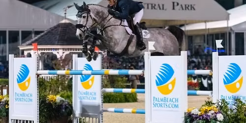 $140,000 Palm Beach County Sport Commission CSI3* Grand Prix