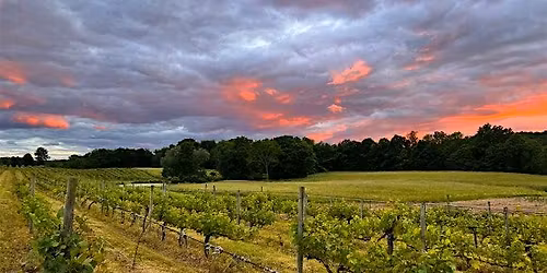Solstice Celebration at Magnanini Winery
