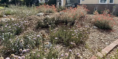 Alhambra Rain Gardens Walking Tour