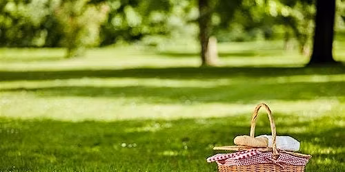 Community Family Picnic Gathering
