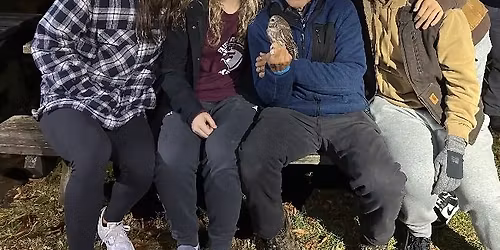 Owl Banding Demonstraion