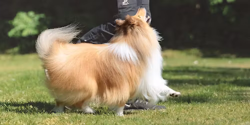 Rallydysten 2026 - 4. kvartal