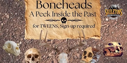 Tween- Boneheads: A Peek Inside the Past (Sign-up Required)