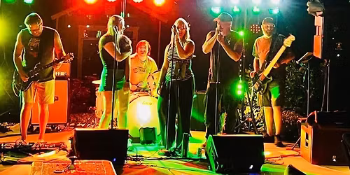 Where's Dave? Live at The Refinery Bar & Grill