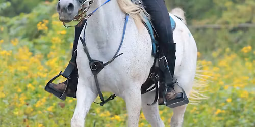 2025 GAHA Fall Trail Ride