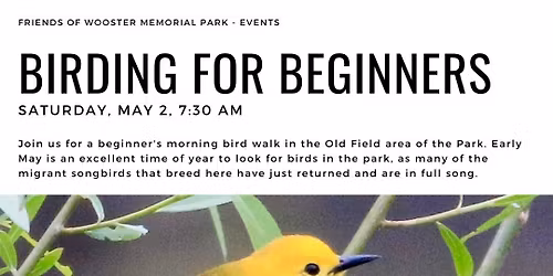 Birding For Beginners